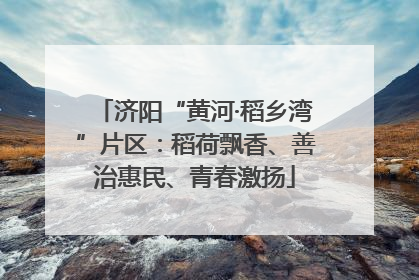 济阳“黄河·稻乡湾”片区：稻荷飘香、善治惠民、青春激扬