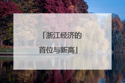 浙江经济的首位与新高