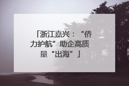 浙江嘉兴：“侨力护航”助企高质量“出海”
