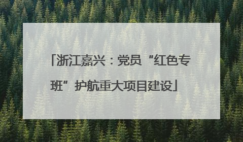 浙江嘉兴：党员“红色专班”护航重大项目建设
