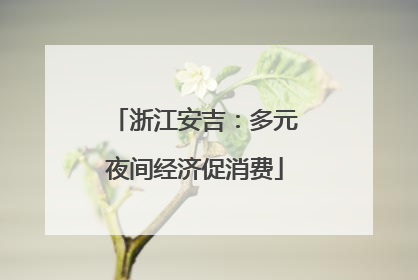 浙江安吉：多元夜间经济促消费