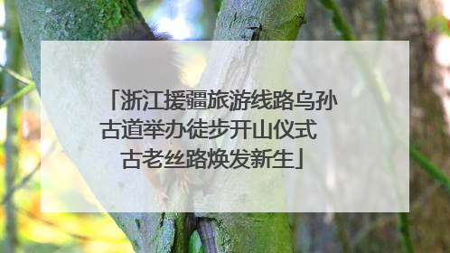 浙江援疆旅游线路乌孙古道举办徒步开山仪式 古老丝路焕发新生