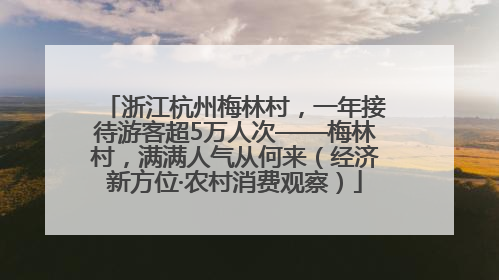 浙江杭州梅林村，一年接待游客超5万人次——梅林村，满满人气从何来（经济新方位·农村消费观察）