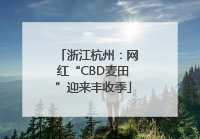 浙江杭州：网红“CBD麦田”迎来丰收季