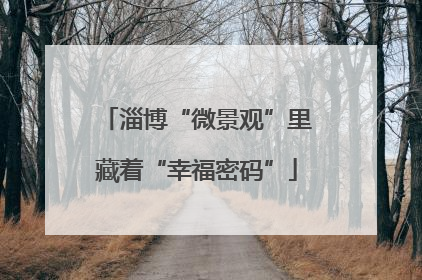 淄博“微景观”里藏着“幸福密码”