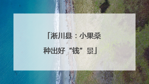 淅川县：小果桑种出好“钱”景
