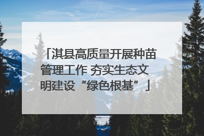 淇县高质量开展种苗管理工作 夯实生态文明建设“绿色根基”
