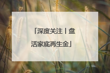 深度关注丨盘活家底再生金