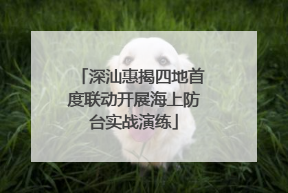 深汕惠揭四地首度联动开展海上防台实战演练