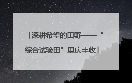 深耕希望的田野——“综合试验田”里庆丰收