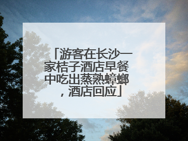 游客在长沙一家桔子酒店早餐中吃出蒸熟蟑螂，酒店回应