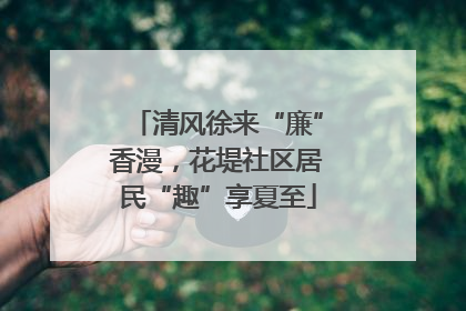 清风徐来“廉”香漫，花堤社区居民“趣”享夏至