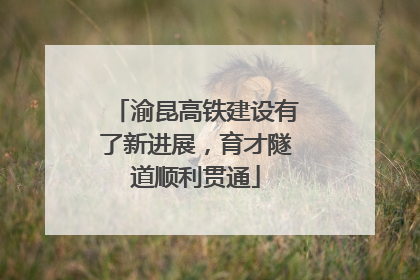 渝昆高铁建设有了新进展，育才隧道顺利贯通