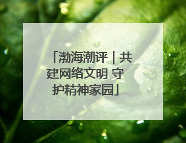 渤海潮评｜共建网络文明 守护精神家园