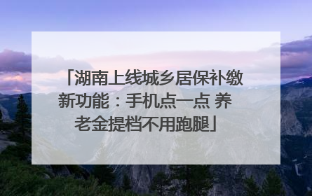 湖南上线城乡居保补缴新功能：手机点一点 养老金提档不用跑腿
