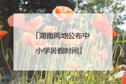 湖南两地公布中小学暑假时间