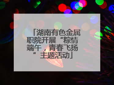 湖南有色金属职院开展“粽情端午，青春飞扬”主题活动
