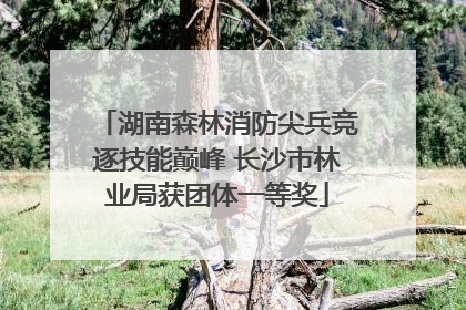 湖南森林消防尖兵竞逐技能巅峰 长沙市林业局获团体一等奖