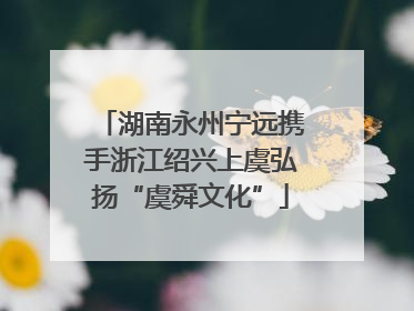 湖南永州宁远携手浙江绍兴上虞弘扬“虞舜文化”