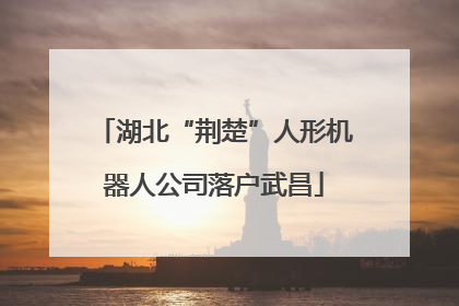 湖北“荆楚”人形机器人公司落户武昌