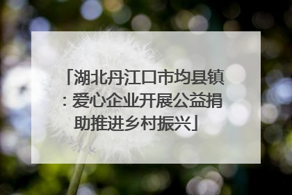 湖北丹江口市均县镇：爱心企业开展公益捐助推进乡村振兴