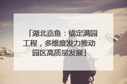 湖北嘉鱼：锚定满园工程，多维度发力推动园区高质量发展