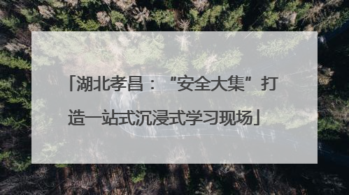 湖北孝昌：“安全大集”打造一站式沉浸式学习现场