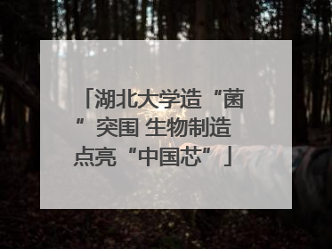 湖北大学造“菌”突围 生物制造点亮“中国芯”