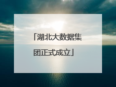 湖北大数据集团正式成立