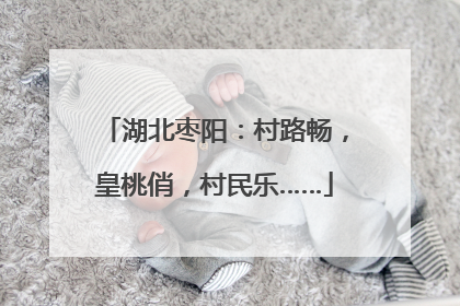 湖北枣阳：村路畅，皇桃俏，村民乐……