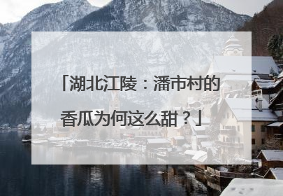 湖北江陵：潘市村的香瓜为何这么甜？