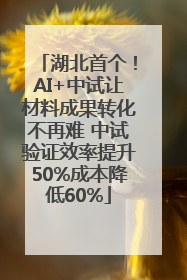 湖北首个！AI+中试让材料成果转化不再难 中试验证效率提升50%成本降低60%