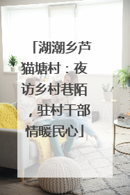 湖潮乡芦猫塘村：夜访乡村巷陌，驻村干部情暖民心