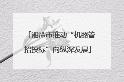 湘潭市推动“机器管招投标”向纵深发展