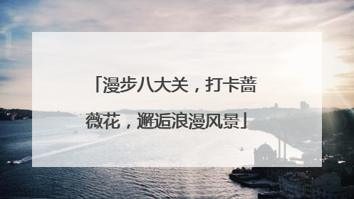 漫步八大关，打卡蔷薇花，邂逅浪漫风景