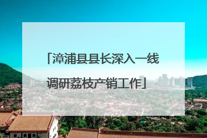 漳浦县县长深入一线调研荔枝产销工作