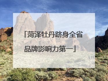 菏泽牡丹跻身全省品牌影响力第一