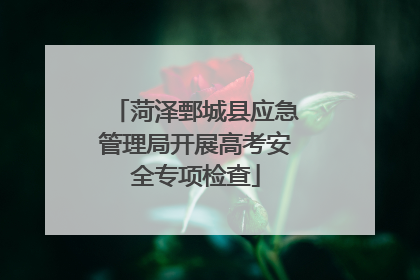 菏泽鄄城县应急管理局开展高考安全专项检查