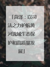 菏泽：以司法之力护航黄河流域生态保护和高质量发展
