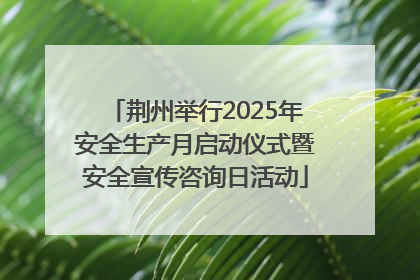 荆州举行2025年安全生产月启动仪式暨安全宣传咨询日活动