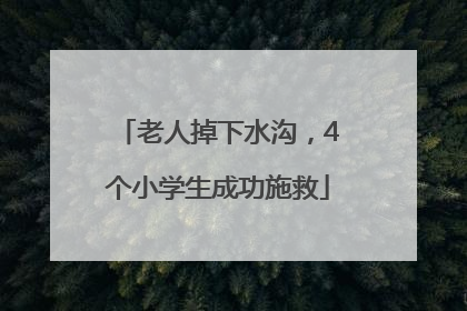 老人掉下水沟，4个小学生成功施救