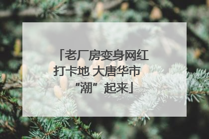 老厂房变身网红打卡地 大唐华市“潮”起来