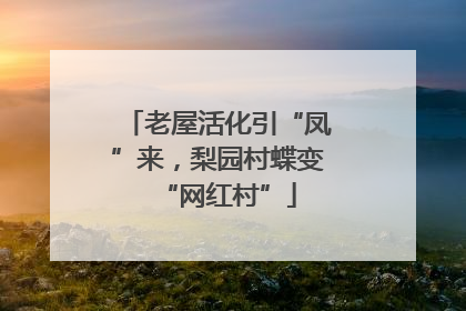 老屋活化引“凤”来，梨园村蝶变“网红村”
