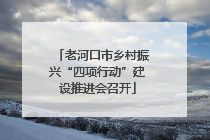 老河口市乡村振兴“四项行动”建设推进会召开