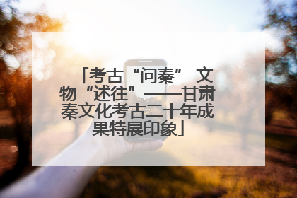 考古“问秦” 文物“述往”——甘肃秦文化考古二十年成果特展印象