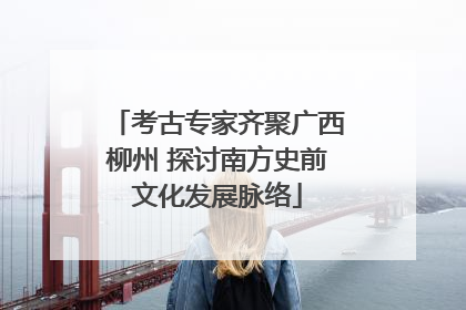 考古专家齐聚广西柳州 探讨南方史前文化发展脉络