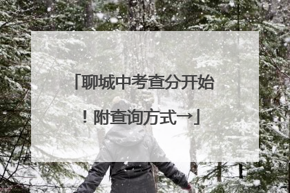 聊城中考查分开始！附查询方式→