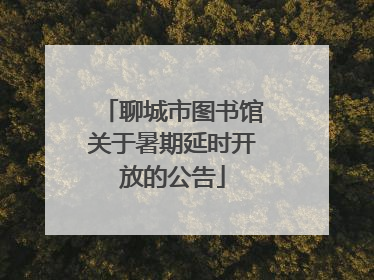聊城市图书馆关于暑期延时开放的公告