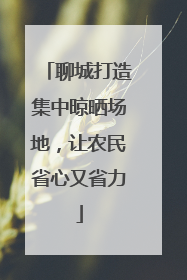 聊城打造集中晾晒场地，让农民省心又省力