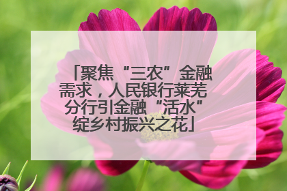 聚焦“三农”金融需求，人民银行莱芜分行引金融“活水”绽乡村振兴之花